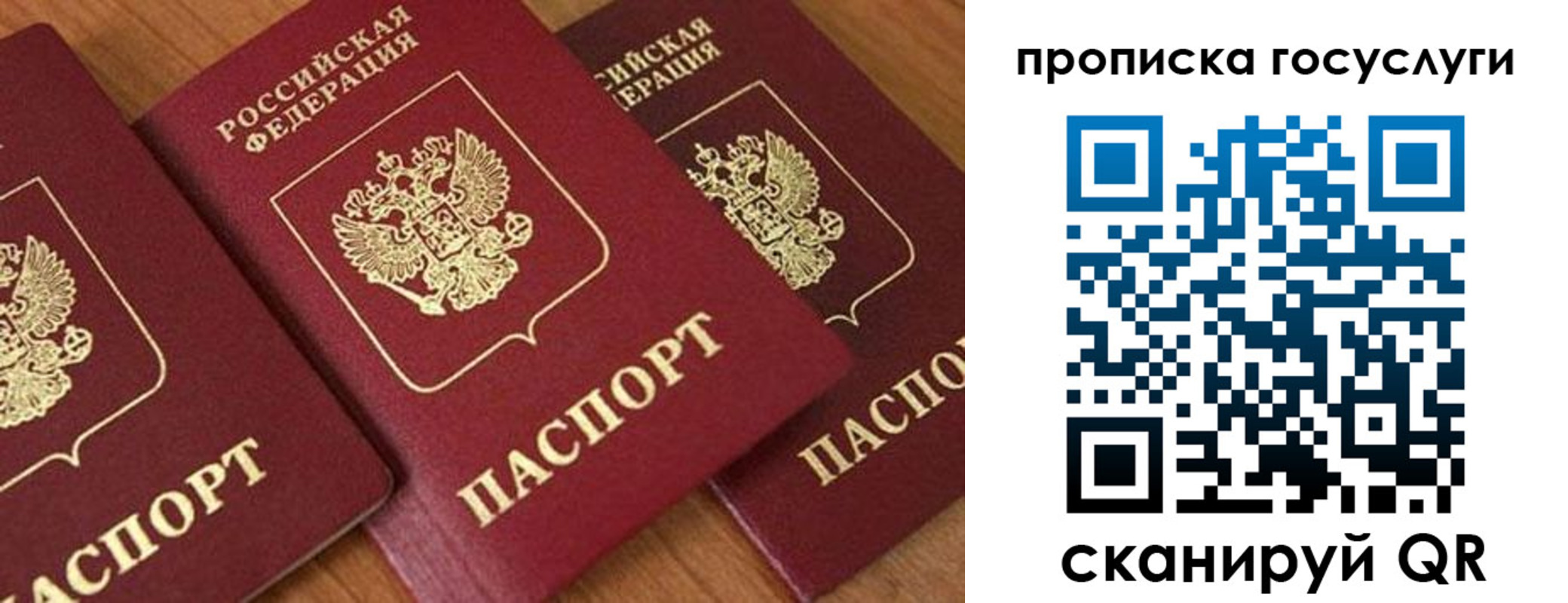 временная прописка в Чистополье